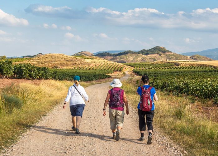 harvest-journeys-el-camino-walk-PV2419-1 Camino, Pilgrims