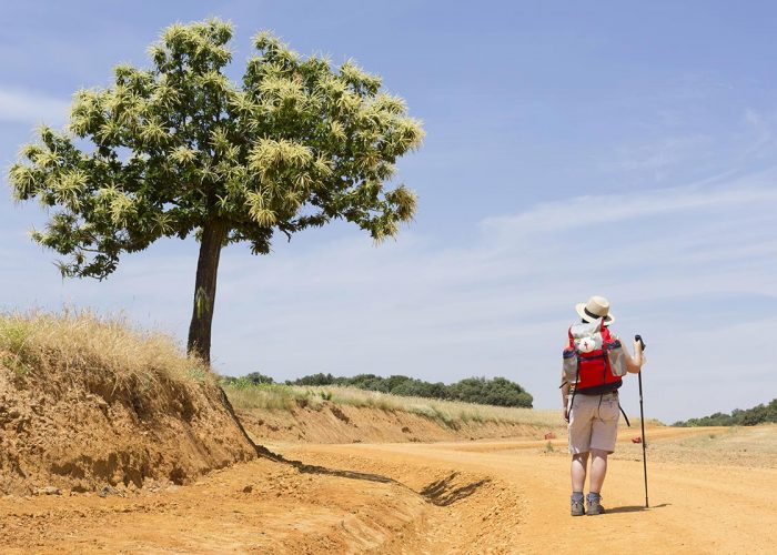 Pilgrims near Astorga, Way of St James, Camino de Santiago, to Compostela, Leon, Spain