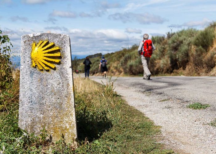 El Camino de Santiago