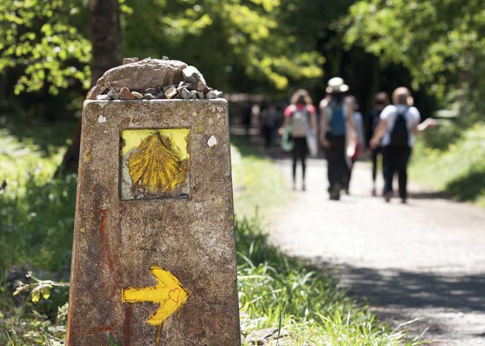 El Camino de Santiago
