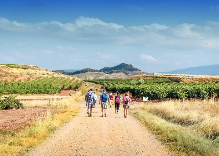 El Camino de Santiago